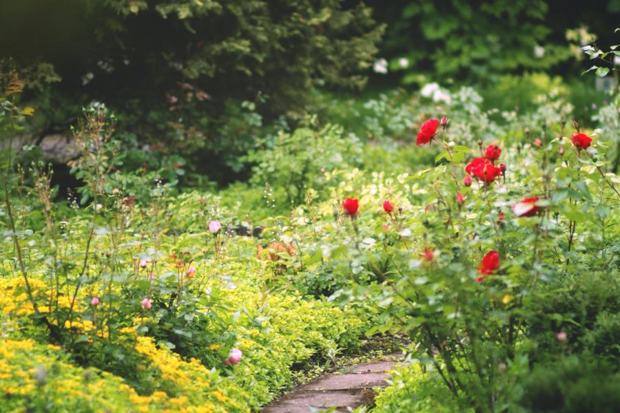 Des jardins sur mesure